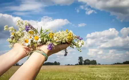 Sabah hava necə olacaq? 