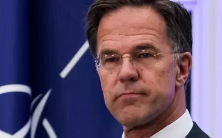 “Ukrayna Alyansın üzvü olmalıdır”