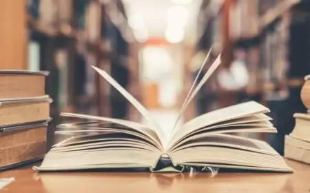 "Nümayiş etdirmək” feli İlin sözü oldu