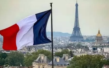 “Fransızlar qüdrətli ölkəmizə çox minnətdar olmalıdırlar”