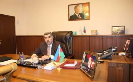 Salyan icra başçısının 766 minə yol təmir etdirəcəyi şirkət kimindir? 