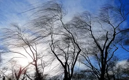 Sabah hava necə olacaq? 