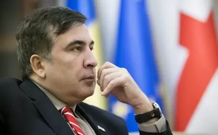 Saakaşvili gürcü hakimiyyətinə Əsədi xatırlatdı 