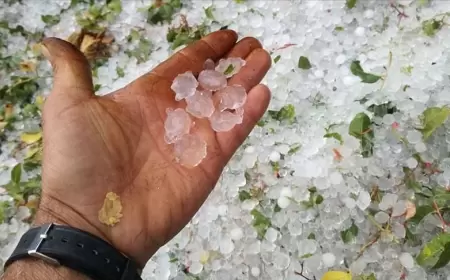 Dolu yağacaq, sel gələcək