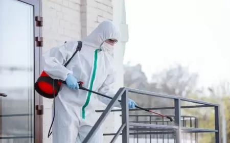 Azərbaycanda qəribə canlılar rayonu "işğal etdi"