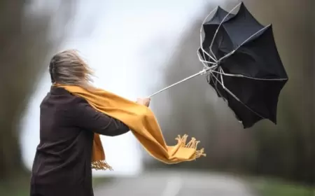 Küləkli hava ilə bağlı əhaliyə XƏBƏRDARLIQ  