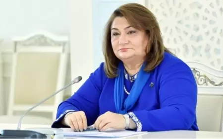 Deputatın Nazirlər Kabinetində işə düzəltdirdyi əmisi nəvəsi cəbhəçidir? - ABŞ-dən bu adla sığınacaq alıb