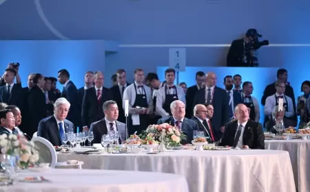 Kartoflu "Kıstıbıy", quzu baldırı, sudak balığı və...