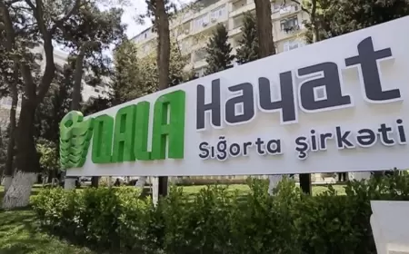 “Qala Həyat” sığorta şirkəti "batır"