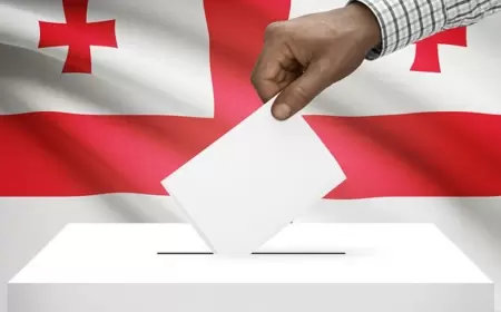 Gürcüstandakı erməni missiyası şikayətləndi