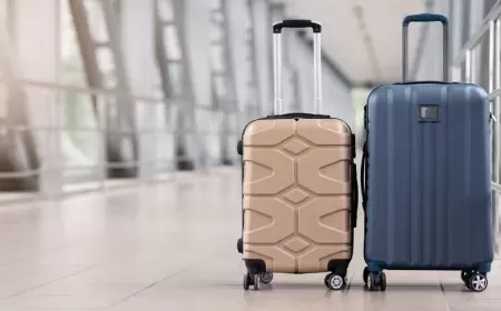 Zərifə Abbasova ölkədən qaçdı