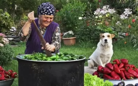 Əzizə xala yutub kanalını necə yaradıb? - "Karantin vaxtı iş yox idi, oğlumla..."