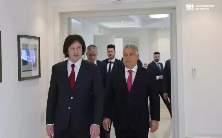 Tiflisdə fitə basılan Viktor Orban danışdı
