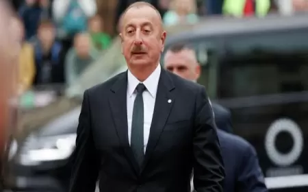 Prezident yeni salınan parkla tanış oldu