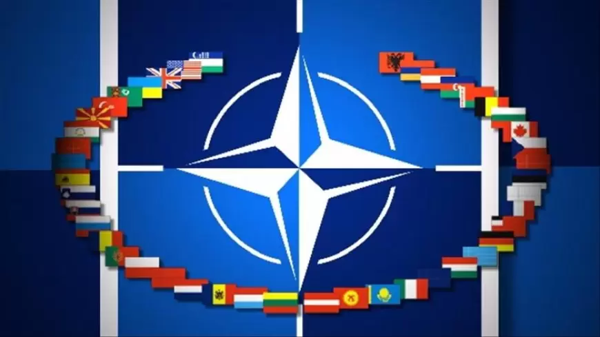 “Gürcüstan bütün qanun pozuntularını araşdırmalıdır” – NATO