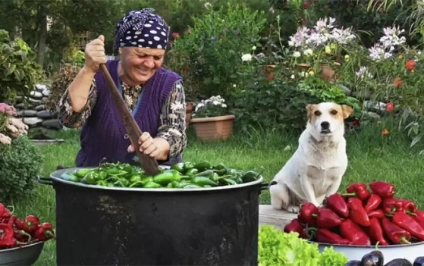 Əzizə xala yutub kanalını necə yaradıb? - "Karantin vaxtı iş yox idi, oğlumla..."