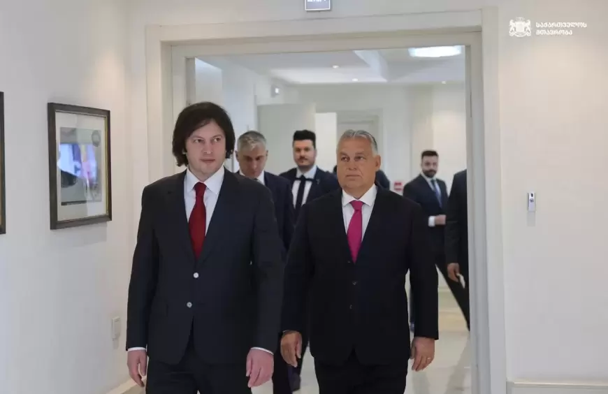 Tiflisdə fitə basılan Viktor Orban danışdı - "Ciddi baxmayın, adi səs-küydür"