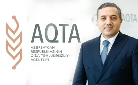 AQTA Azərbaycandakı "McDonald’s” şəbəkəsini yoxlaya bilir?