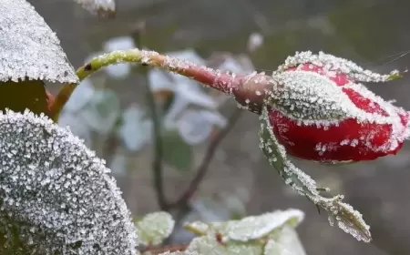Bu gün hava necə olacaq? - PROQNOZ