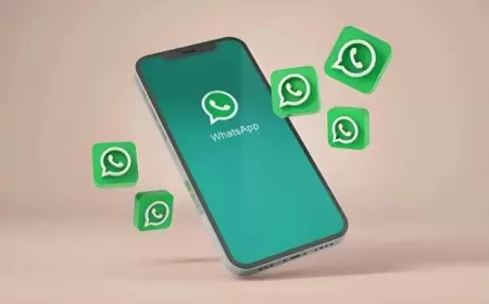 WhatsApp zəngləri rəsmən qadağan edildi   