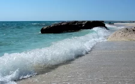 Boşanıb, hadisədən 3 gün əvvəl... - Qadın körpəsini dənizə  niyə atıb?