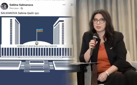 Deputat Milli Məclisin saytını ödənişli reklama qoydu