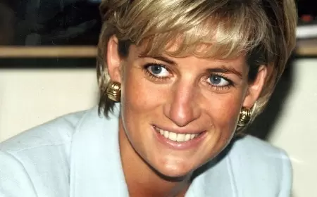 Uels şahzadəsi Diananın oğullarını barışdırmaq istəyir