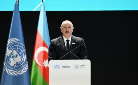 Azərbaycan Prezidenti Fransanın dənizaşırı ərazilərdə törətdiyi cinayətlərdən danışıb