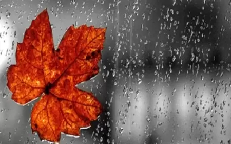 Sabah hava necə olacaq? 