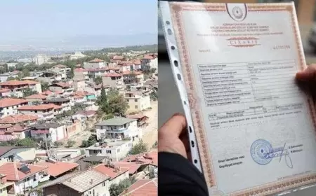 "Sənədsiz evləri qeydiyata alaq ki, vergi toplansın"