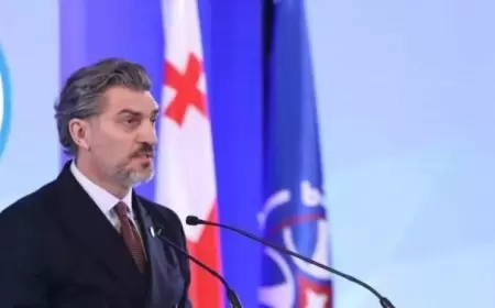 Gürcüstan prezidenti Trampı qınadı - “Sənə səndən şikayətim var”