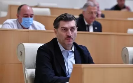 Yeni president Salome Zurabişviliyə istafaya getməyi tövsiyə etdi