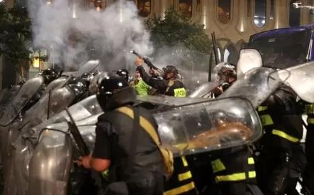 Tiflisdəki etiraz Berlin Film Festivalında göstəriləcək