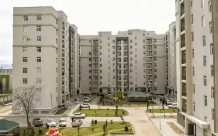 MİDA 544 mənzili 35 saniyəyə satdı