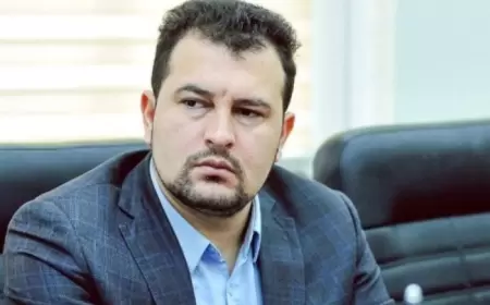 Politoloq Turab Rzayev Hindistan gömrüyündə saxlanıldı