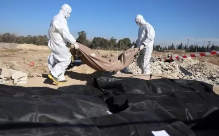 100 min cəsədin olduğu kütləvi məzarlıq tapıldı