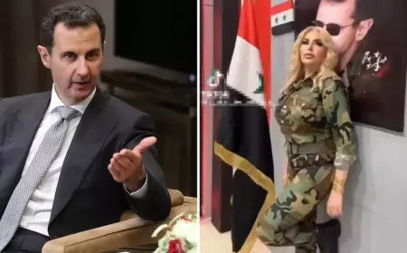 Bütün Suriya bu cazibədar qadını axtarır