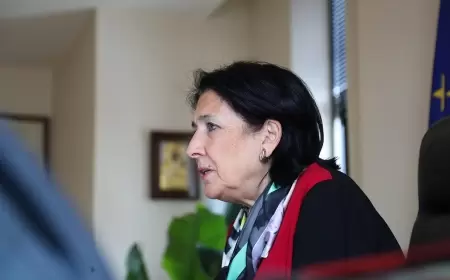 Zurabişvili Avropa Parlamentində od püskürdü