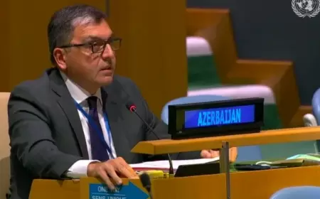 Tofiq Musayevə yeni vəzifə verildi