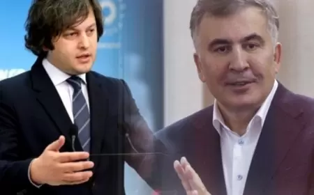 "İvanaşvilinin evinə girib akvariumunu..."