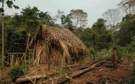 Dünyadan tamamilə təcrid olunmuş qəbilə ilk dəfə lentə alındı