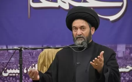 Seyid Həsən Ameli İran televiziyasında nə demişdi?