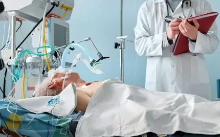 ABŞ-də quş qripindən ilk ölüm hadisəsi qeydə alındı