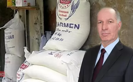 Sabiq deputatın “Karmen” şirkətində ciddi pozuntu  