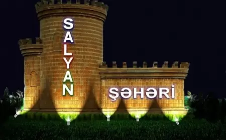 "Yazıq gəlin neyləsin, əri..."