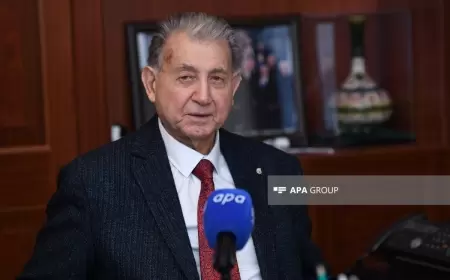 "Nerjoveyka axtarırdım, Ətağanın cəddini çağıran kimi tapdım"