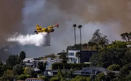 Los Ancelesdəki faciənin sahəsi Lixtenşteyni keçdi 