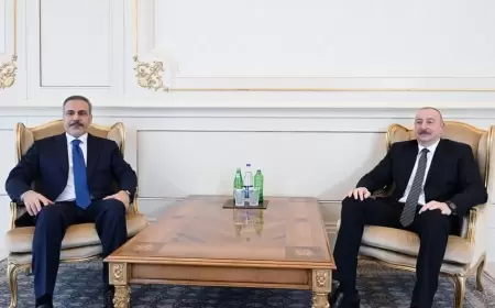 Azərbaycan Prezidenti Hakan Fidanı qəbul edib