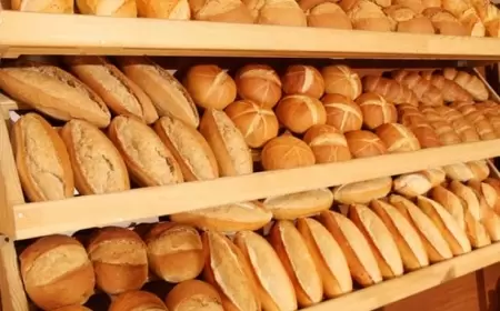 Hansı növ çörək kökəltmir?