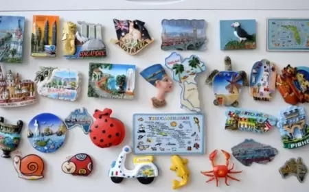 Soyuducuya niyə maqnit yapışdırmamalıyıq?